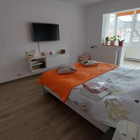 Apartament Spatios In Braşov Exterior foto