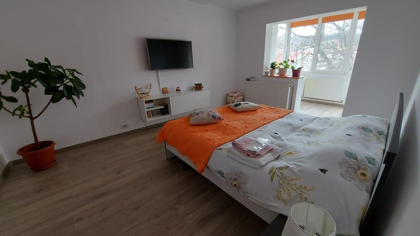 Apartament Spatios In Braşov Exterior foto