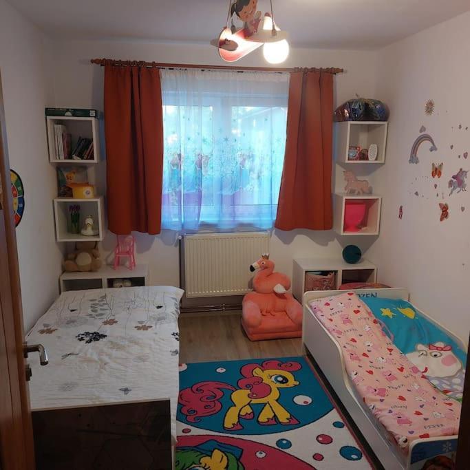 Apartament Spatios In Braşov Exterior foto
