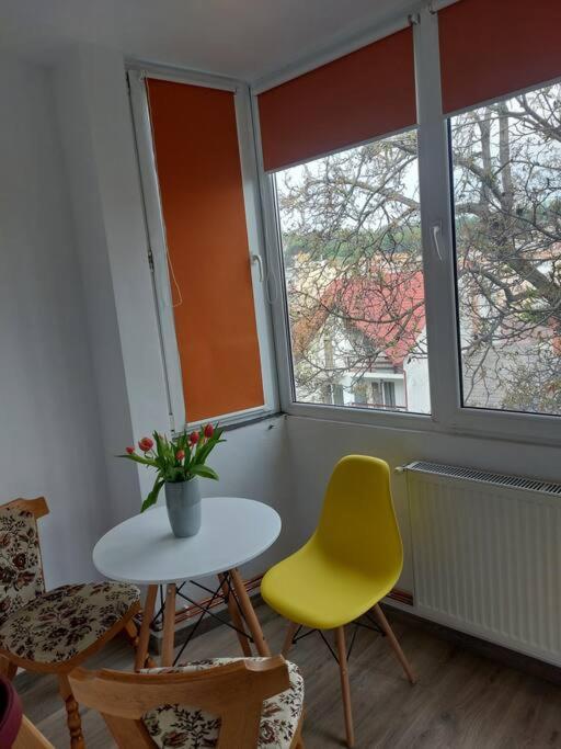 Apartament Spatios In Braşov Exterior foto