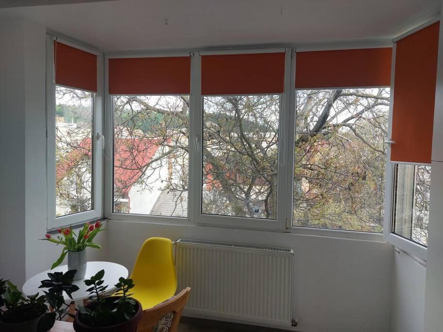 Apartament Spatios In Braşov Exterior foto